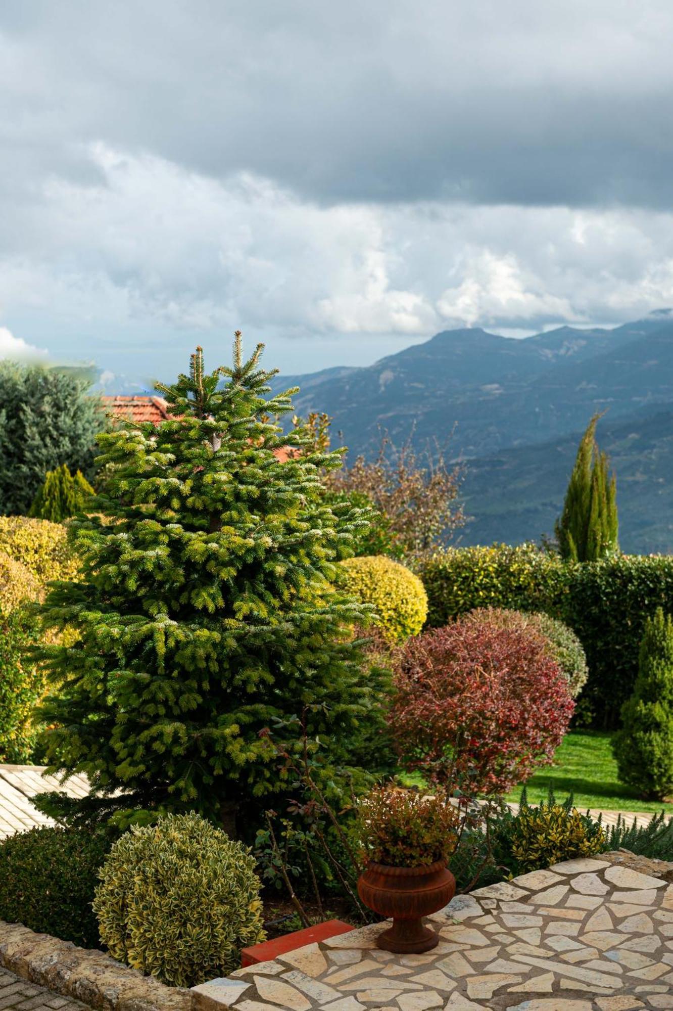 Anotopos Ano Trikala Dış mekan fotoğraf