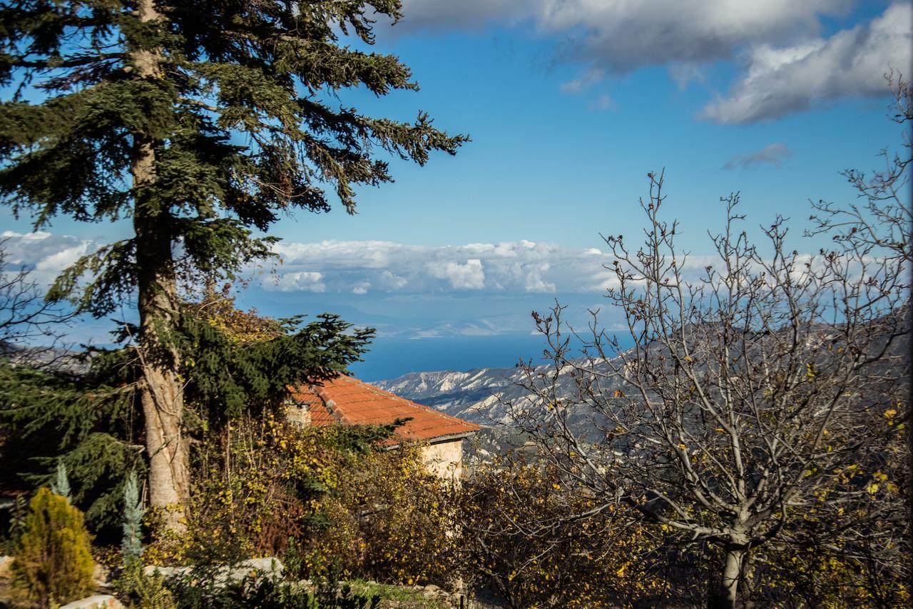 Anotopos Ano Trikala Dış mekan fotoğraf